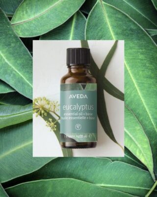 Aveda-Eucalyptus Essential Oil+Base